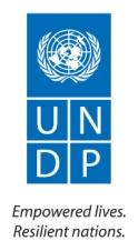 http://www.witfor.org/images/stories/undp_logo_medium.jpg